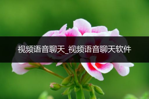 视频语音聊天_视频语音聊天软件