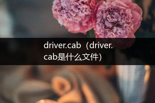 driver.cab(driver.cab是什么文件)
