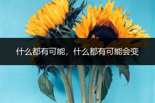 什么都有可能,什么都有可能会变