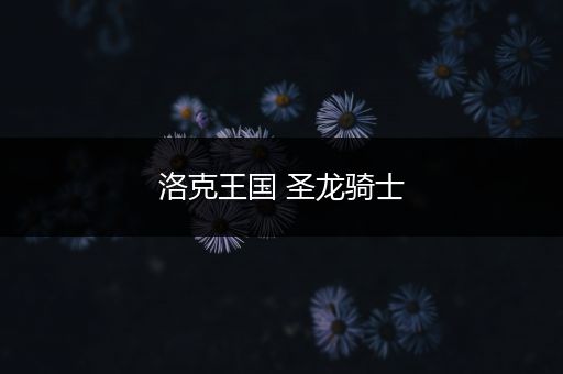 洛克王国 圣龙骑士