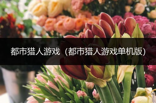 都市猎人游戏(都市猎人游戏单机版)