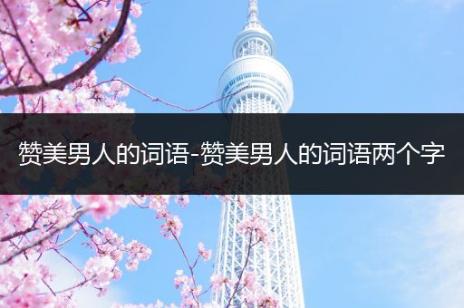 赞美男人的词语-赞美男人的词语两个字