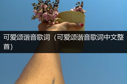 可爱颂谐音歌词(可爱颂谐音歌词中文整首)