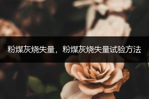 粉煤灰烧失量,粉煤灰烧失量试验方法