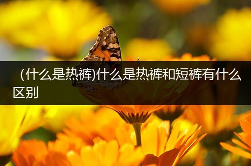 (什么是热裤)什么是热裤和短裤有什么区别