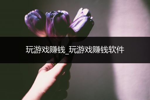 玩游戏赚钱_玩游戏赚钱软件