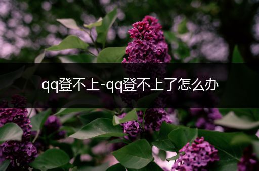 qq登不上-qq登不上了怎么办