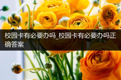 校园卡有必要办吗_校园卡有必要办吗正确答案