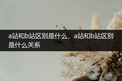a站和b站区别是什么,a站和b站区别是什么关系