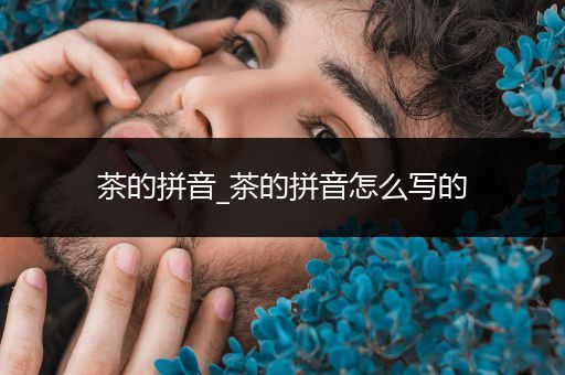 茶的拼音_茶的拼音怎么写的