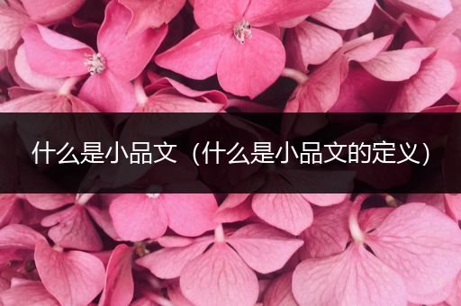 什么是小品文(什么是小品文的定义)