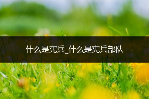 什么是宪兵_什么是宪兵部队