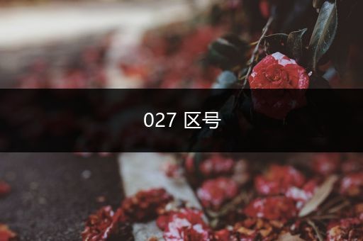 027 区号