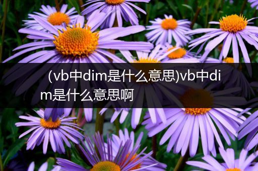 (vb中dim是什么意思)vb中dim是什么意思啊