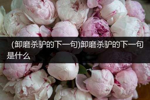 (卸磨杀驴的下一句)卸磨杀驴的下一句是什么