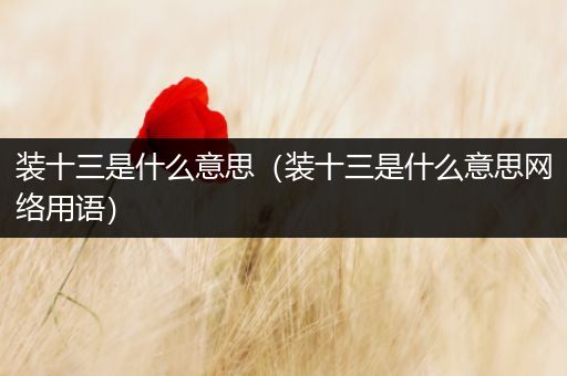 装十三是什么意思(装十三是什么意思网络用语)