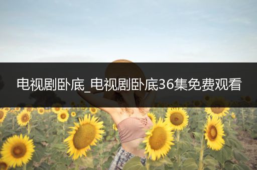 电视剧卧底_电视剧卧底36集免费观看