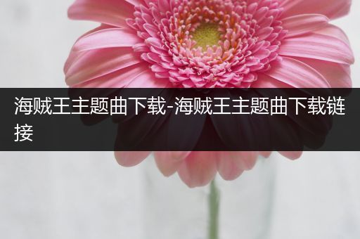 海贼王主题曲下载-海贼王主题曲下载链接