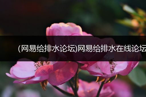 (网易给排水论坛)网易给排水在线论坛