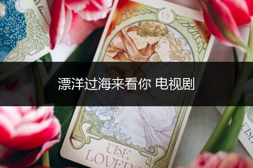 漂洋过海来看你 电视剧