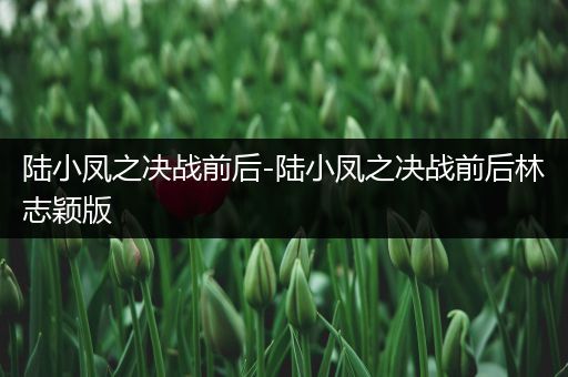陆小凤之决战前后-陆小凤之决战前后林志颖版