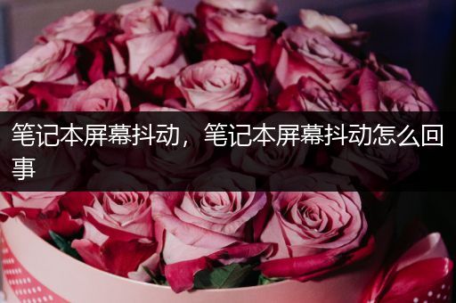 笔记本屏幕抖动,笔记本屏幕抖动怎么回事