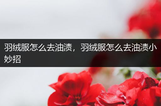 羽绒服怎么去油渍,羽绒服怎么去油渍小妙招