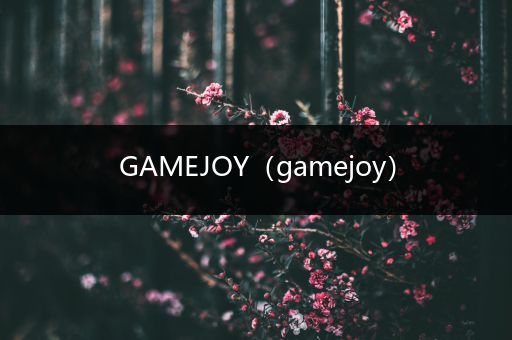 GAMEJOY(gamejoy)