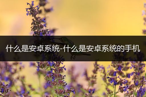 什么是安卓系统-什么是安卓系统的手机