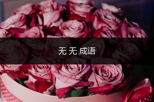 无 无 成语