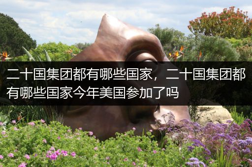 二十国集团都有哪些国家,二十国集团都有哪些国家今年美国参加了吗