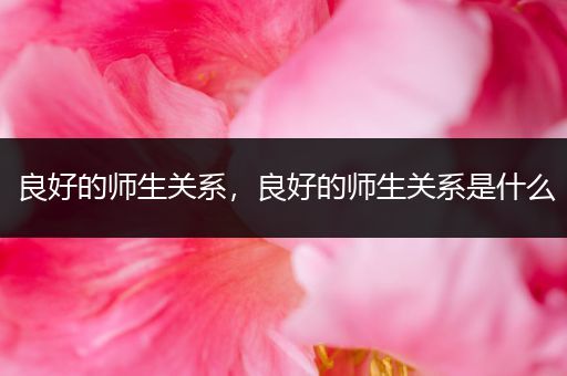 良好的师生关系,良好的师生关系是什么