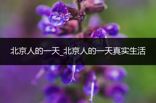 北京人的一天_北京人的一天真实生活
