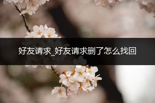 好友请求_好友请求删了怎么找回