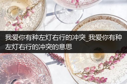 我爱你有种左灯右行的冲突_我爱你有种左灯右行的冲突的意思