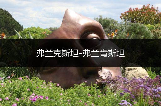 弗兰克斯坦-弗兰肯斯坦