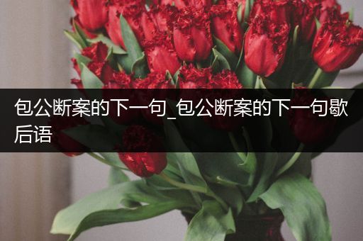 包公断案的下一句_包公断案的下一句歇后语