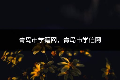 青岛市学籍网,青岛市学信网