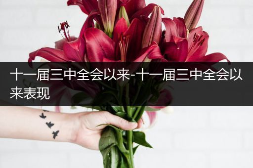 十一届三中全会以来-十一届三中全会以来表现