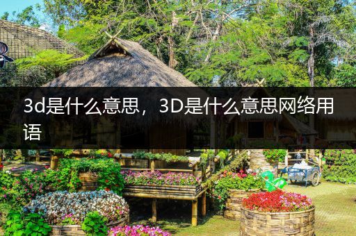 3d是什么意思,3D是什么意思网络用语