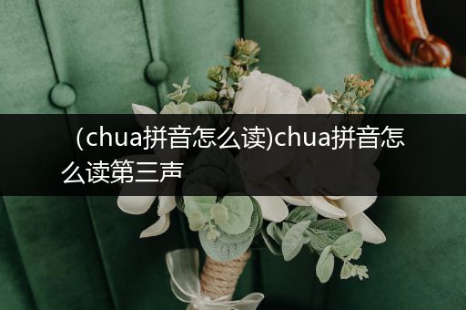 (chua拼音怎么读)chua拼音怎么读第三声