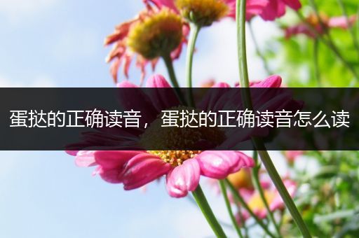蛋挞的正确读音,蛋挞的正确读音怎么读