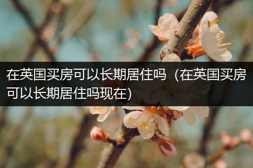 在英国买房可以长期居住吗(在英国买房可以长期居住吗现在)
