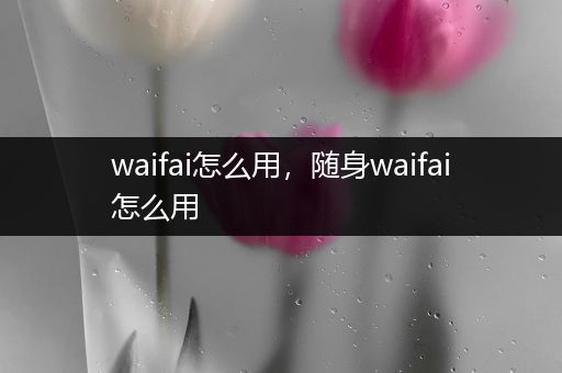 waifai怎么用,随身waifai怎么用