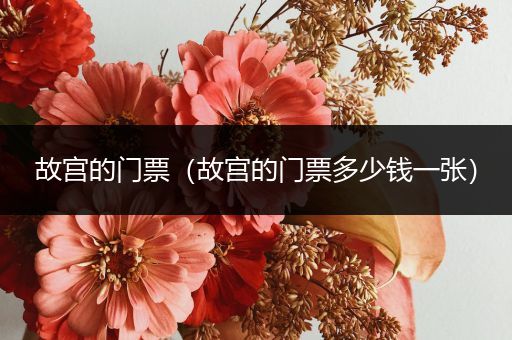 故宫的门票(故宫的门票多少钱一张)