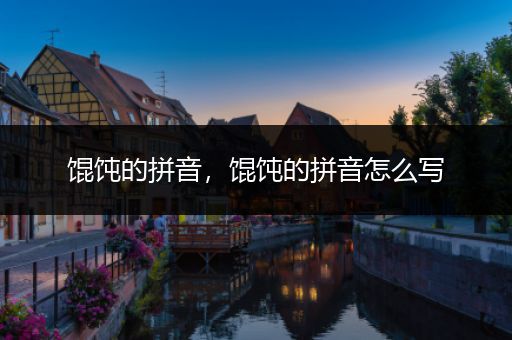 馄饨的拼音,馄饨的拼音怎么写