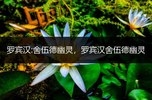 罗宾汉:舍伍德幽灵,罗宾汉舍伍德幽灵