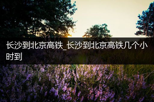 长沙到北京高铁_长沙到北京高铁几个小时到