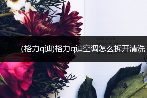 (格力q迪)格力q迪空调怎么拆开清洗