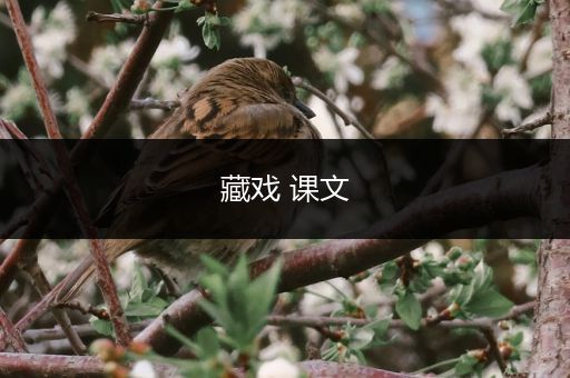 藏戏 课文